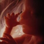 Ipnosi regressiva : La vita prenatale