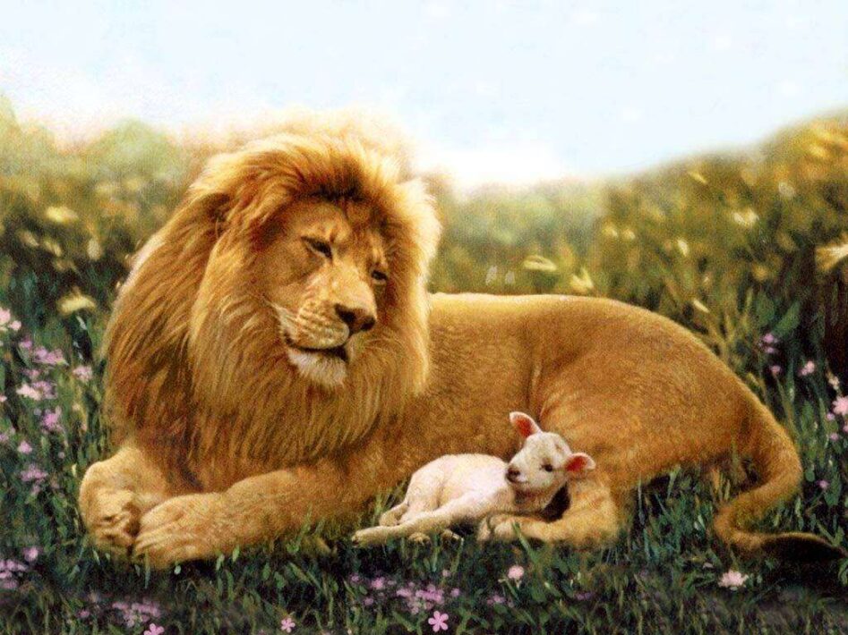 Gesù e gli animali