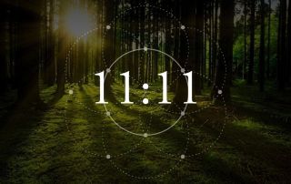 Significato Spirituale dell’Ora 11 11- Numeri sfondo foresta