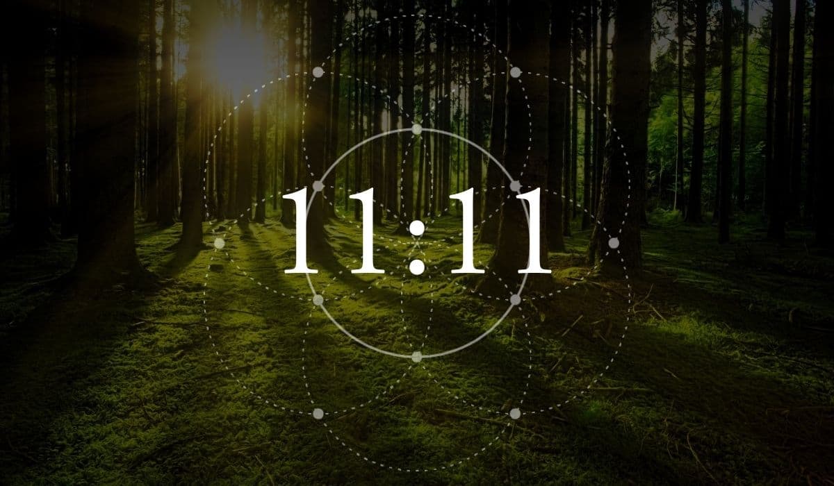 Significato Spirituale dell’Ora 11 11- Numeri sfondo foresta