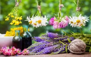 Guida ai Fiori di Bach