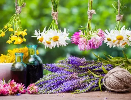 Fiori di Bach: Introduzione Spirituale e Guida all’Uso Energetico