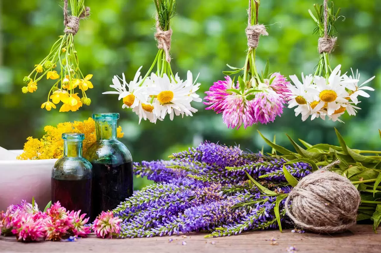 Guida ai Fiori di Bach
