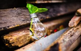 Lampadina come Sincronicità degli Eventi.