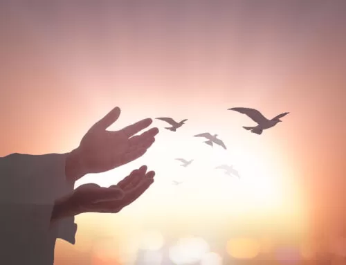 Gratitudine e Cambiamento