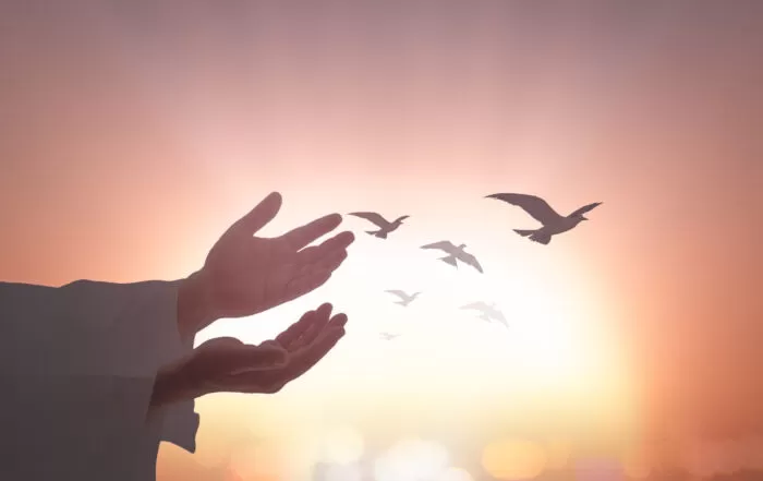 Gratitudine e cambiamento interiore.