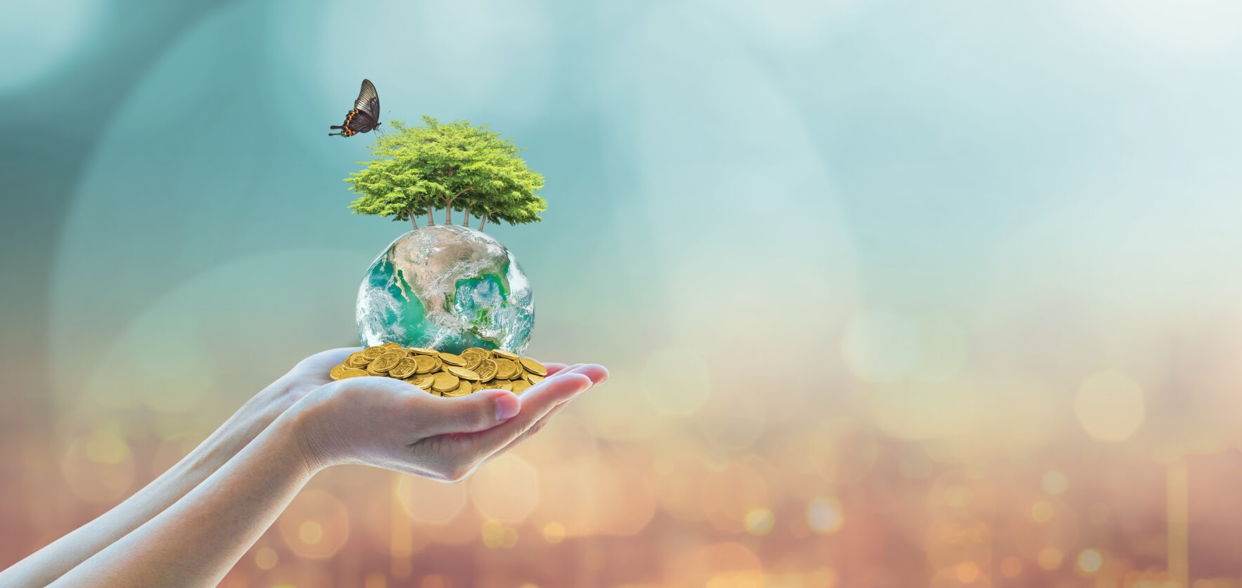 Preghiera Spirituale per Prosperità e Abbondanza di Denaro con mani tese.