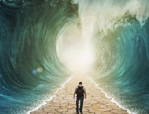 🌿🌸 Segni degli Angeli che Indicano un Cambiamento Economico