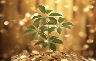 Significato Spirituale del Denaro che cresce sotto pianta verde.