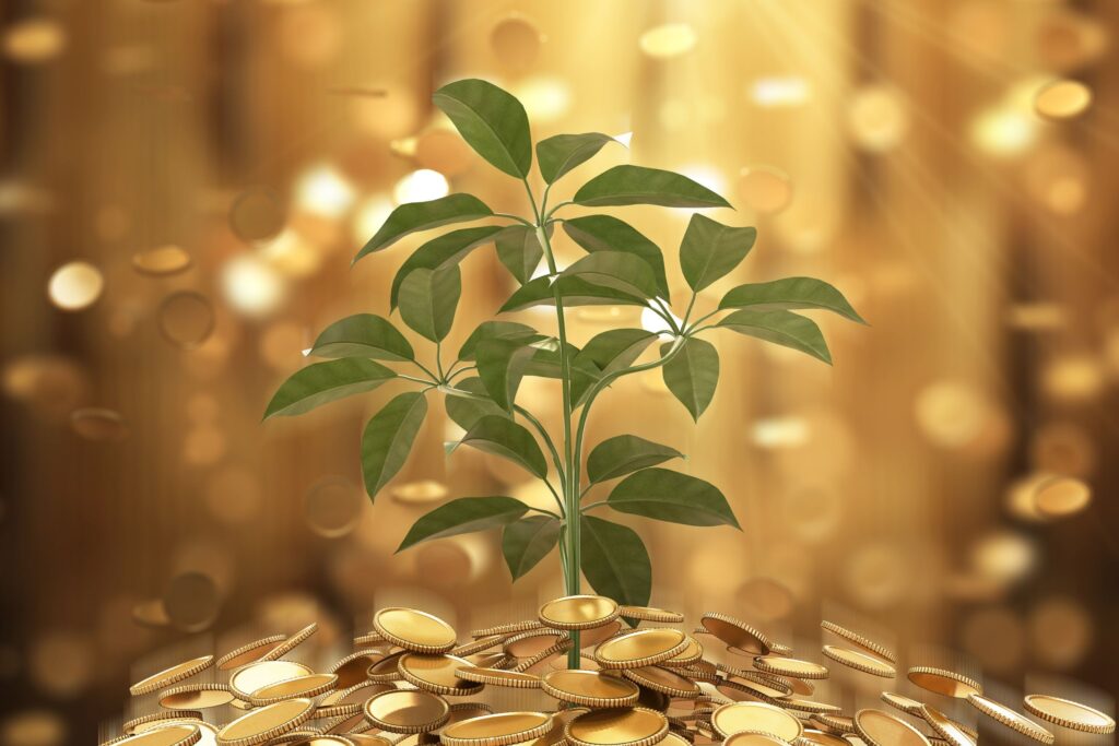 Significato Spirituale del Denaro che cresce sotto pianta verde.